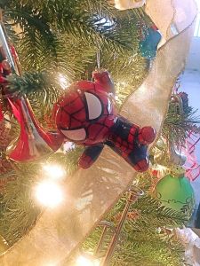 15027409_10206308201537552_7656264727295669275_n