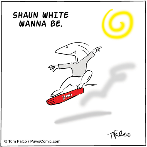 shaunwhite