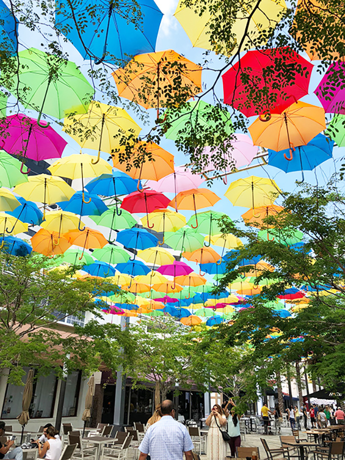 umbrella1