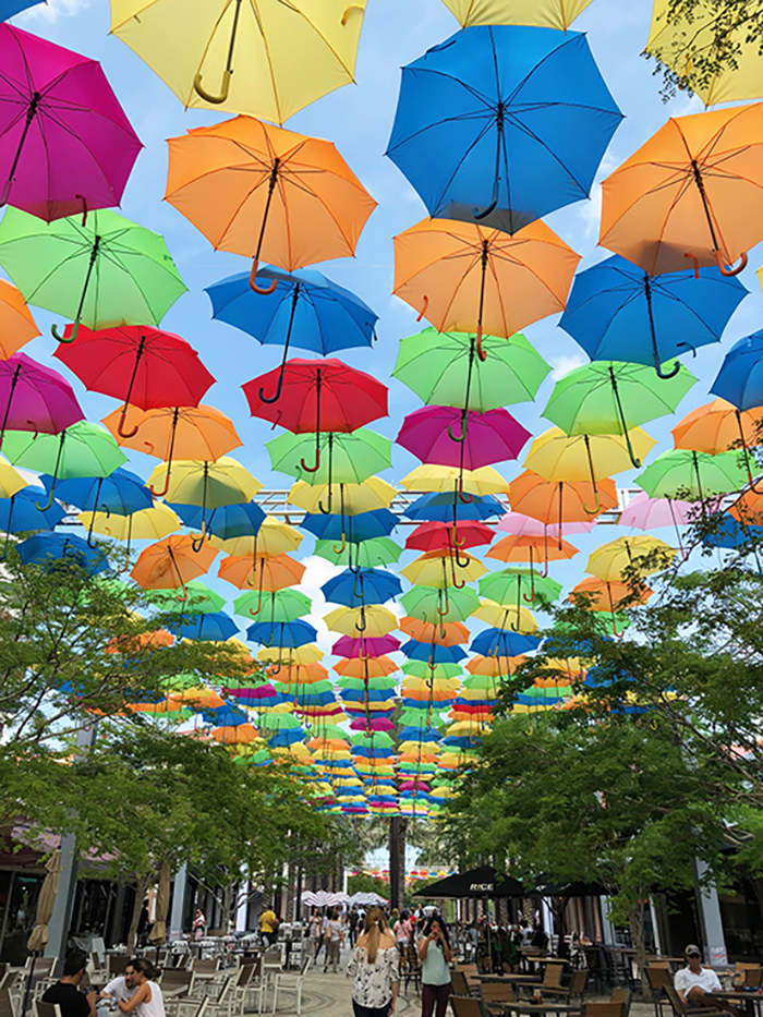 umbrella2