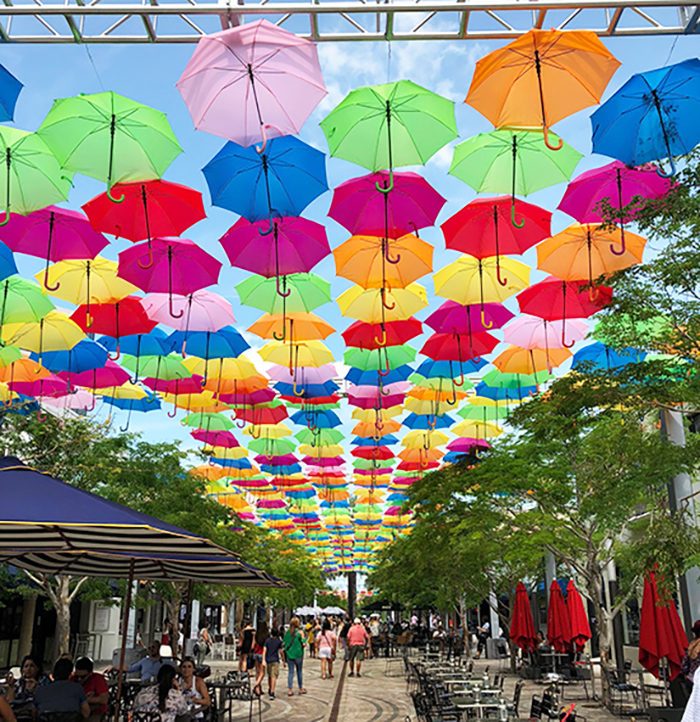 umbrella3