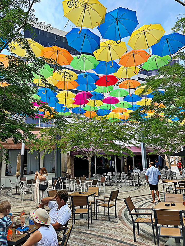 umbrella5