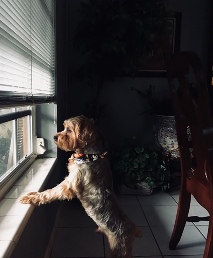 2020 Winter PromoAN Email BlastV4