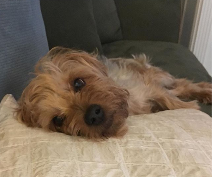 2020 Winter PromoAN Email BlastV4