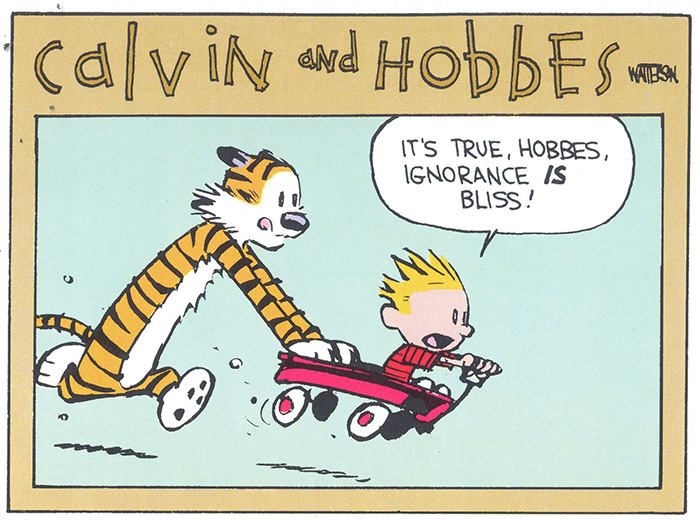 calvin-and-hobbes